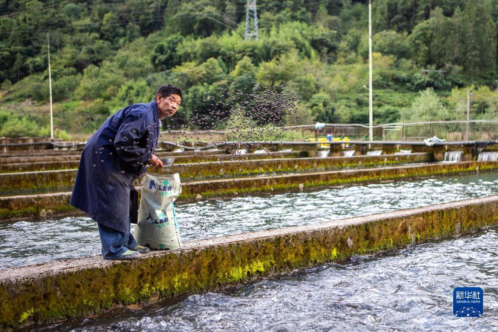 永利集团手机在线登录